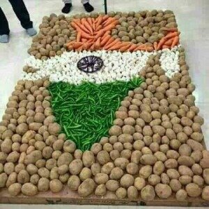 Indian Replublic Day 2017