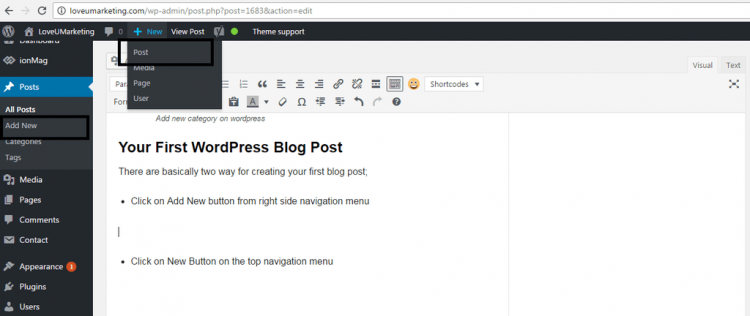 Wordpress Post