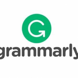 grammarly grammar checking