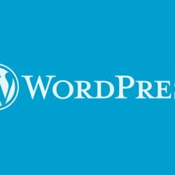 Significant Changes To Make Your WordPress Blog User and SEO Friendly