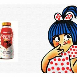 Amul Launched Camel Milk in the Market
