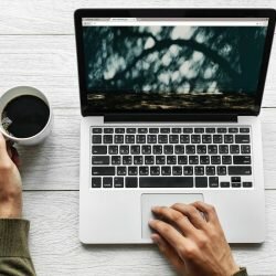 4 Powerful Ways To Boost Local Search Visibility