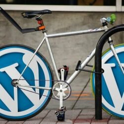 Pros and Cons of Using WordPress as your website platform