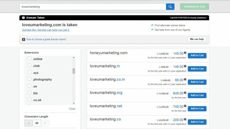 Domain name price