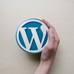 Tips for optimizing WordPress websites for improved SEO performance