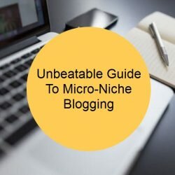 Guide On Best And Profitable Micro Niche Blogging